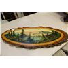 Image 1 : PAINTED BURL