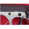 Image 4 : BERSA THUNDER 380/H