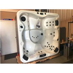 CAL SPA LU-ALBA GLOSS ACRY 90X90, MAHOGANY BASE, 35 JETS, LOUNGER, WATERFALL CASCADE,