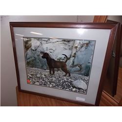 FRAMED PRINT - DOG
