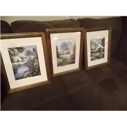 FRAMED PICTURES - 3 TTL - LANDSCAPES