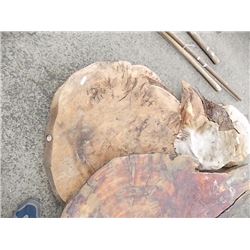 LARGE BURL SECTION