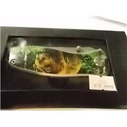 NEW FOLDING KNIFE - BEAR IMAGE