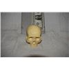 Image 1 : SKULL MINIATURE FROM  UNKNOWN PRODUCTION