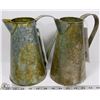 Image 1 : LOT OF 2 GROW IT PATINA WATER JUG