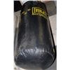 Image 1 : EVERLAST MINI HEAVY BAG