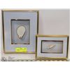 Image 1 : 2 BOXED SEA SHELL PICTURES 24K GOLD TRIM