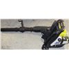 Image 1 : RYOBI  GAS-POWERED BACKPACK-BLOWER