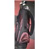 Image 1 : SET OF GOLF CLUBS W/ BAG