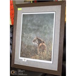 DUCKS UNLIMITED MORNING MAJESTY BY DENNIS MAYER JR