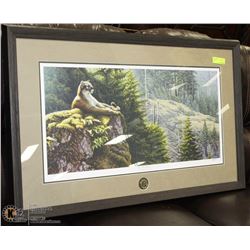 DUCKS UNLIMITED IN HIS GLORY BY W. ALLAN HANCOCK