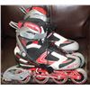 Image 1 : SIZE 44 FIREFLY ROLLERBLADES