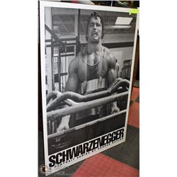 SCHWARZENEGGER PLAQUE 27"X39"
