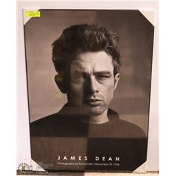 NEW JAMES DEAN PLAQUE STYLE WALL HANGING 24"X34"