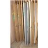 Image 1 : LOT OF 7 ASSORTED DOORS HOLLOW WOOD 3 METALS
