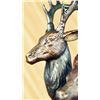 Image 2 : Buck Stag Wildlife edition Bronze Statue on a marble base