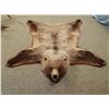 Image 2 : Grizzly Bear rug, 74"l x 65"w