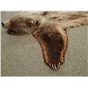 Image 5 : Grizzly Bear rug, 74"l x 65"w