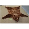 Image 2 : Grizzly Bear rug, 82"l x 71"w