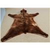 Image 3 : Grizzly Bear rug, 82"l x 71"w