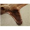 Image 5 : Grizzly Bear rug, 82"l x 71"w