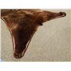 Image 6 : Grizzly Bear rug, 82"l x 71"w