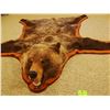 Image 3 : Grizzly Bear rug, 80"l x 73"w