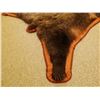 Image 5 : Grizzly Bear rug, 80"l x 73"w