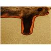Image 6 : Grizzly Bear rug, 80"l x 73"w