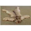 Image 1 : Canadian Lynx rug, 50"l x 41"w, w/ rings for hanging