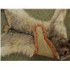 Image 4 : Canadian Lynx rug, 50"l x 41"w, w/ rings for hanging
