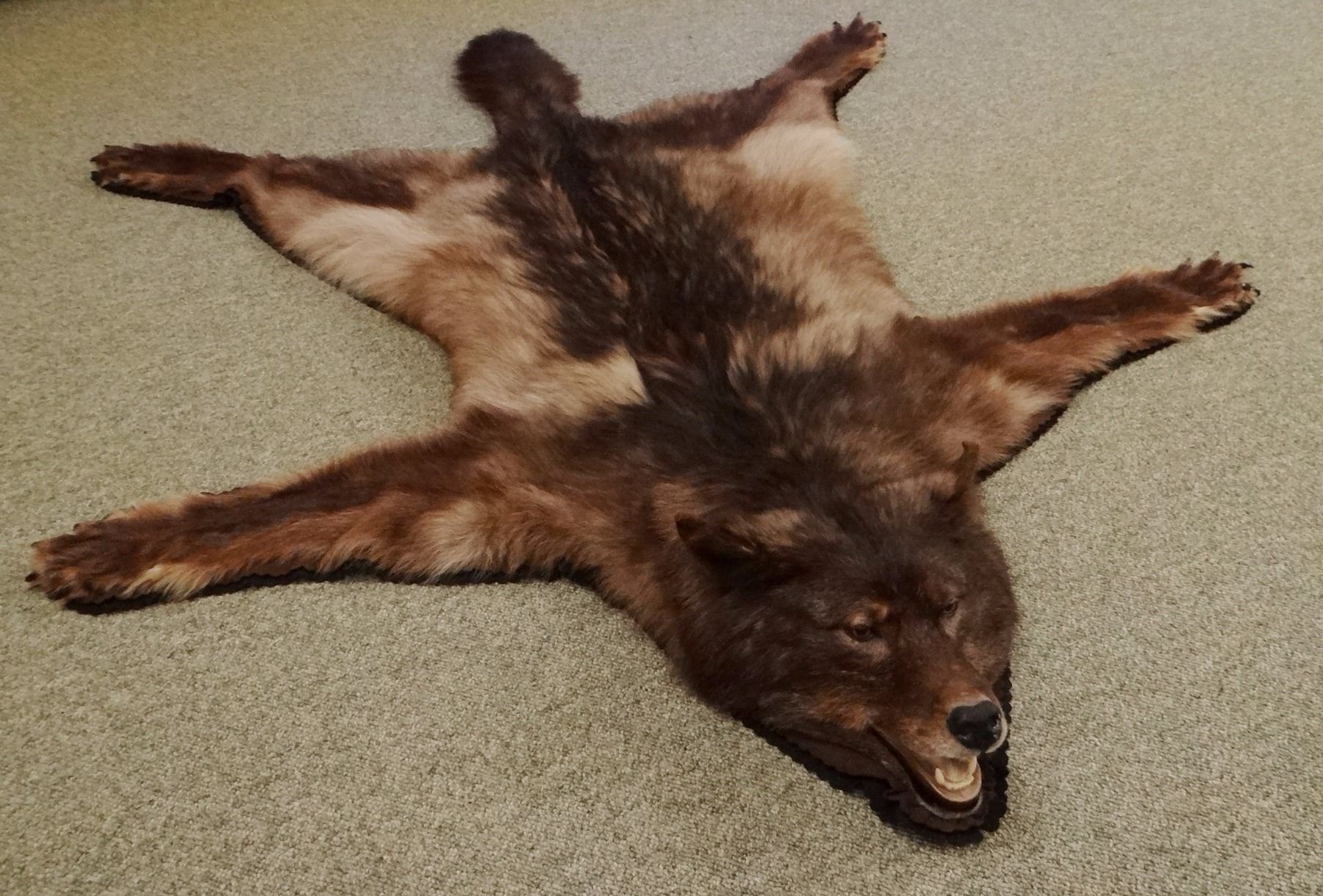 Black Wolf rug, 65"w x 85"l