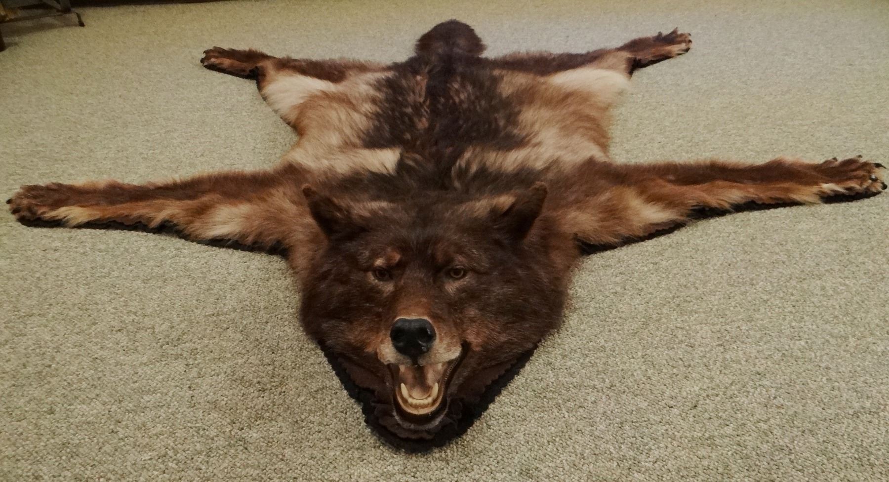 Black Wolf rug, 65"w x 85"l