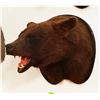 Image 1 : Black Bear head mount (brown)