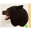Image 1 : Black Bear head mount (black)