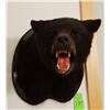 Image 2 : Black Bear head mount (black)