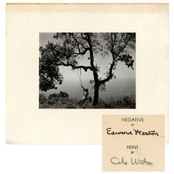Edward Weston's ''Winter Idyll'', Printed & Signed in a Limited Edition by Cole Weston