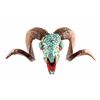 Image 1 : Navajo Turquoise Dall Sheep Skull