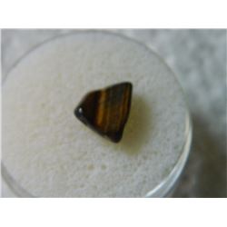 GEM STONE - TIGER'S EYE - POLISHED FREE FORM