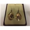 Image 2 : SET OF NATIVE EARRINGS