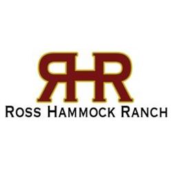 Florida:  1 1/2-day Florida Wild Boar hunt for 4 Hunters