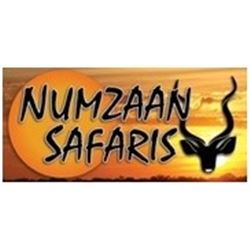 7-day South Africa Plains Game Safari for Two Hunters and Two Non-hunters