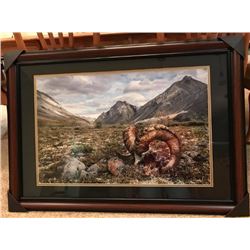 Wildlife Photograph by Ruth Cusack title “The Final Tribute”