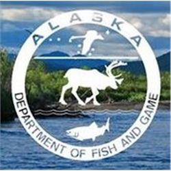 Alaska: Tok Management Area Govenor's Tag for Dall Sheep (DS102/DS103) for One Hunter