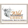 Image 1 : South Africa: 5-day/5-Night Plains Game Safari for 4 Hunters, plus a $1,000 Trophy Fee Credit