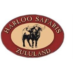 Harloo Safaris: South Africa Plains Game Safari