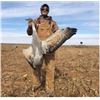 Image 1 : West Texas Sandhill Crane Hunt for Two- 3 Days/3 Nights