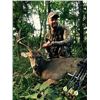 Image 1 : Free Range Missouri Whitetail Deer Bow/Crossbow Hunt for Two- 5Night/5Day