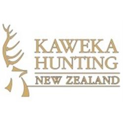 Silver Medal Stag for One Hunter