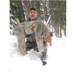 5 Day Lynx Hunt in Southern British Columbia